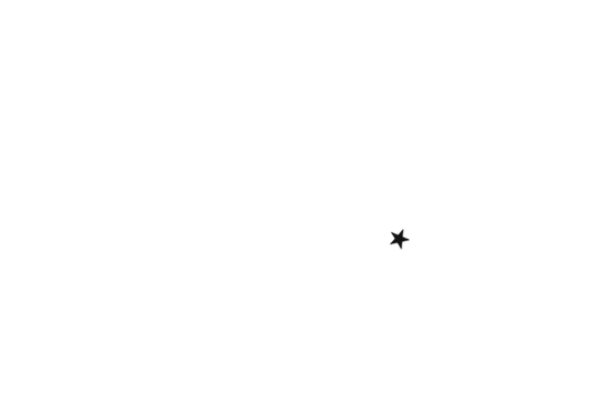 RookTrein